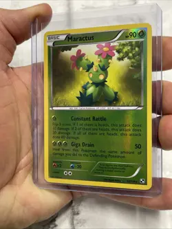 Maractus - Black & White - 12/114 - Pokemon TCG - Reverse Holo - Rare LP+ Card - Image 2