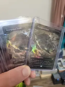 Overgrown Tomb Borderless Unfinity Foil #284 - Image 1