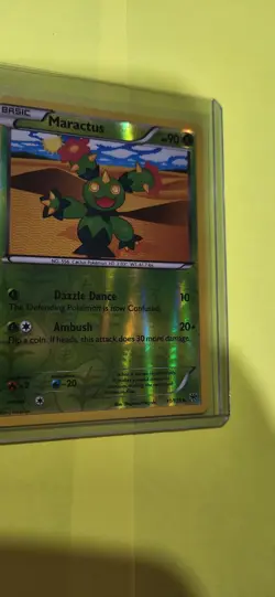 Plasma Storm Pokemon TCG Maractus 11/135 Reverse Holo - 956 - Image 1