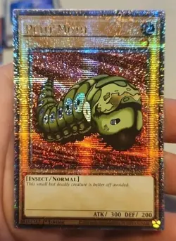 Petit Moth RA04-EN111 Quarter Century Secret Rare Yugioh Card 1st Edition NM - Image 1