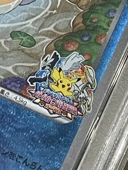 Pokemon Tympole Japanese Autumn Battle Carnival Promo 191/BW-P PSA Grade 10 - Image 2