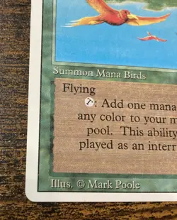 MTG - Birds of Paradise - 3rd Edition Revised - 1x - LP (Magic: The Gathering) - Image 3