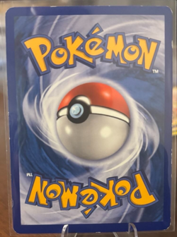 Growlithe 65/100 Sandstorm Regular LP+ Free Shipping Pokemon TCG - Image 2