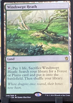 Windswept 248 Heath Khans of Tarkir Regular NM MTG Tcg Card - Image 1