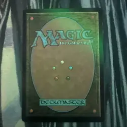 Ainok Strike Leader (Extended Art) Tarkir Dragonstorm TDC Rare 0051 - Image 2