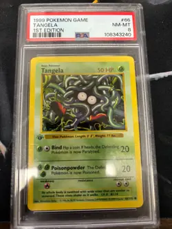 1st Edition Shadowless Tangela 66/102 Base Set Pokemon Card PSA 8 - Image 1