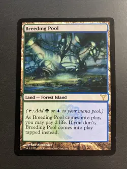MTG Magic the Gathering Breeding Pool (172/190) Dissension NM - Image 1
