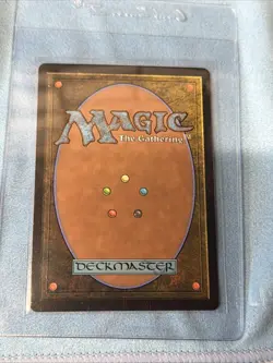 Magic: The Gathering Tarkir - Misty Rainforest Special Guests Foil - NM - Image 3