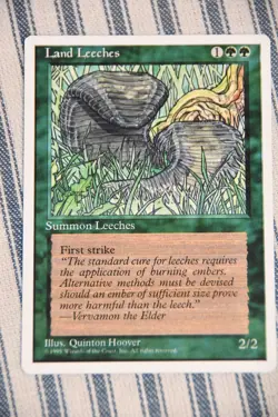 Magic The Gathering Vintage 5th Edition Green/Forest Cards - 6x - Creatures - Image 5