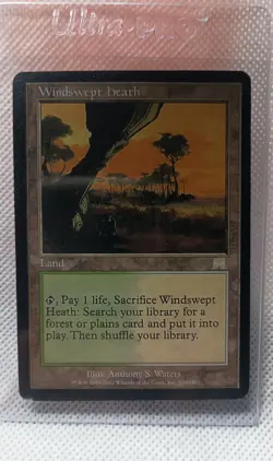 MTG Land Windswept Heath 328 Onslaught - Image 1