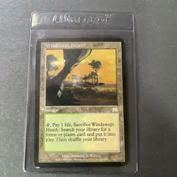 MTG Land Windswept Heath 328 Onslaught - Image 2