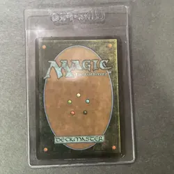 MTG Land Windswept Heath 328 Onslaught - Image 3