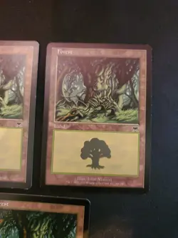 3x Forest #348 Onslaught Basic Land Magic The Gathering MTG NM VLP - Image 3