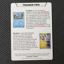 Raging Bolt Trainer Tips Card Pokemon TCG: Temporal Forces Near Mint (NM) - Image 2