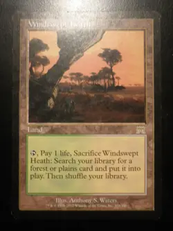 mtg magic windswept heath onslaught ENGLISH lande venteuse carnage - Image 1