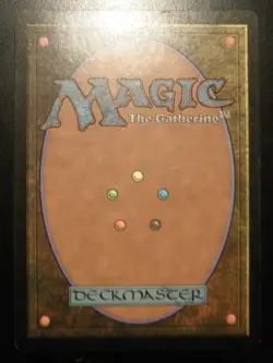 mtg magic windswept heath onslaught ENGLISH lande venteuse carnage - Image 2