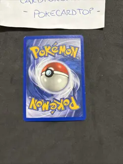 Pokemon Card Wooper 66/147-Aquapolis-Eng-Holo Reverse-Nm! - Image 4