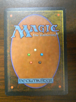 MTG Magic The Gathering Legends The Lady Of The Mountain LP - Excellent Cond - Image 2