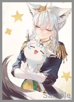 VTuber hololive Fubuki shirakami doujin Card Sleeve Protector - Image 1