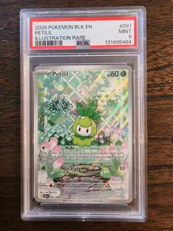 2025 POKEMON BLK EN-BLACK BOLT ILLUSTRATION RARE #091 PETILIL PSA 9 - Image 1