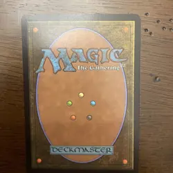 Darksteel Plate 342 R Normal FIC MTG NM Free Shipping - Image 2