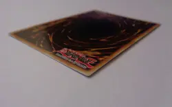 Mother Grizzly LCYW-EN237 (Secret Rare, 1st Edition, Near Mint / NM) Yugioh - Image 5