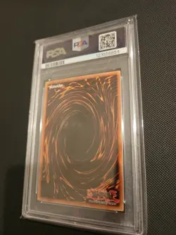 Yugioh Red Eyes Black Dragon Anniversary Pack YAP1-EN002 PSA 8 - Image 2