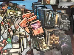 Massive MTG Collection – Ice Age Player Quitting, Premium Lands, Mystery Lot - Image 3