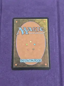 Northern Paladin 7th Edition Regular Magic The Gathering Rare - Image 2