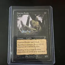 MTG Carrion Feeder Scourge 59/143 Regular Common LP Magic the Gathering - Image 1