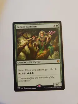 Canopy Tactician Kaldheim Regular - Image 1