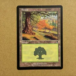 MTG ~ PLAYSET ~ 4x Forest (#349) ~ OD Odyssey ~ 2001 English ~ Land ~ LP - Image 2