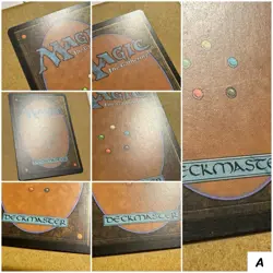 MTG ~ PLAYSET ~ 4x Forest (#349) ~ OD Odyssey ~ 2001 English ~ Land ~ LP - Image 5