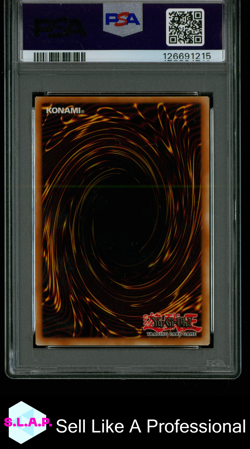 DRAGON MASTER KNIGHT DUELIST PACK: KAIBA YU-GI-OH! 2010 EN027 PSA 9 - Image 2
