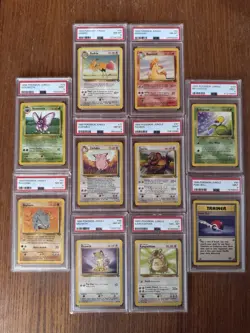 1999 Pokemon Jungle PSA Slab Lot (12 Cards) – PSA 8–9 – No Duplicates - Image 1