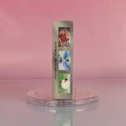 BATTLE PARTNERS POKEMON DISPLAY SCARLET & VIOLET 2025 JAPANESE OVP SEALED 1 - Image 2