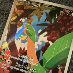 Tropius 195/193 Sv02: Paldea Evolved Illustration Rare Pokemon Card TCG NM - Image 2