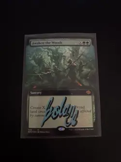 Awaken the Woods Foil Shadow Signed By Original Artist Bryan Sola - Image 1