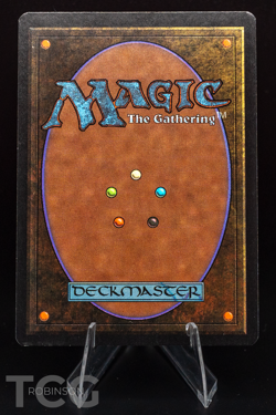 Swamp (C) - 1993 Magic the Gathering - Limited Edition Beta Regular - Image 2