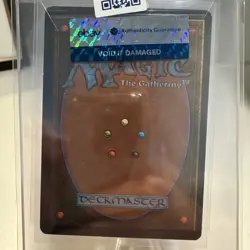 MTG Revised Tundra - dual land - VG-EX - Image 2