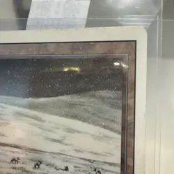 MTG Revised Tundra - dual land - VG-EX - Image 4