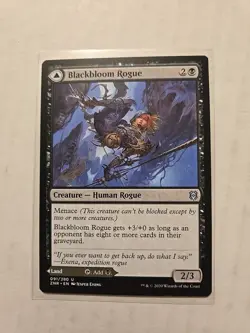 Blackbloom Rogue / Blackbloom Bog - Zendikar Rising - LP - Uncommon - Creature - Image 1