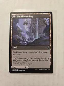 Blackbloom Rogue / Blackbloom Bog - Zendikar Rising - LP - Uncommon - Creature - Image 2