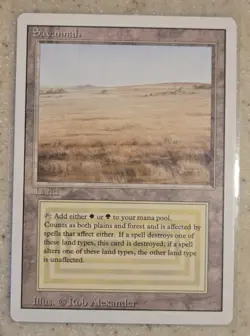 Magic: The Gathering Savannah Land Cards Lot of 2 Illustrated by Rob Alexander - Image 2