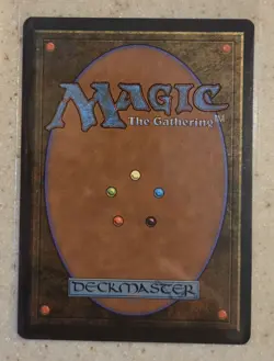 Magic: The Gathering Savannah Land Cards Lot of 2 Illustrated by Rob Alexander - Image 3