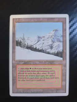 Magic the Gathering Taiga Revised Edition Regular Card - Image 1