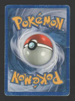Feraligatr Holo Expedition 12/165 ITA – Carta Pokemon Rara Olografica - Image 2