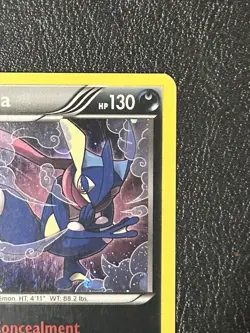 Pokemon Greninja XY24 XY Holo Promo Card English 2014 LP - Image 4