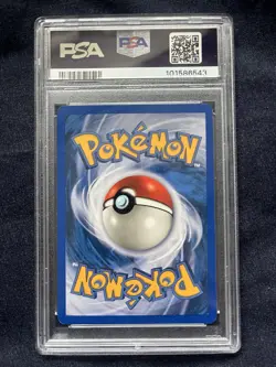 Pokemon TCG Beedrill Skyridge Non Holo Rare 5/144 PSA 8 NM-MT - Image 2