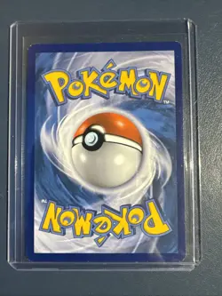 Team Magma's Zangoose 22/34 - Double Crisis - Pokemon TCG Reverse Holo - Image 2